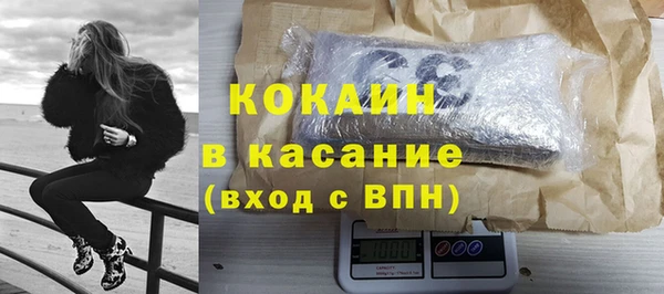гашик Алексин