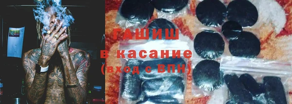 гашик Алексин