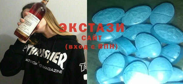 гашик Алексин