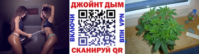 Канабис сатива  Апшеронск 